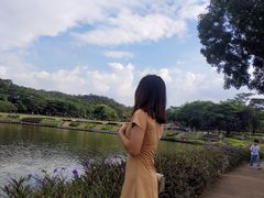 -东莞植物园
