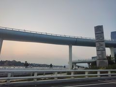 -演武大桥观景平台