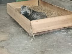 -昆明动物园