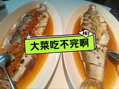 -凤凰湘语(浦东旗舰店)