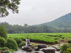 -中国茶叶博物馆(双峰馆区)