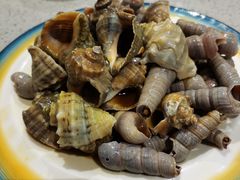 捞汁海螺-小船渔村•大连菜•大连焖鱼(明泽街店)