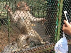 -藏龙百瀑风景区