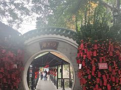 -侨美·唐荔园·40年地道粤菜