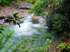 -广州白江湖森林公园