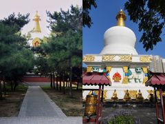 -护国法轮寺