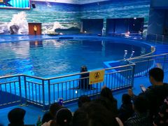 -多彩贵州城极地海洋世界