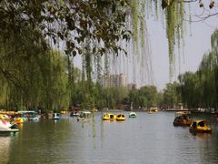 -宝鸡植物园