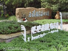 -西溪国家湿地公园