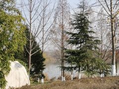 -灞河西岸滨河公园