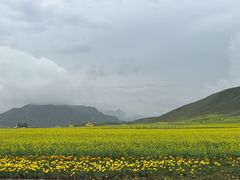 -扁都口生态休闲旅游区