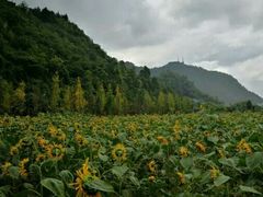 -贵阳市花溪国家城市湿地公园