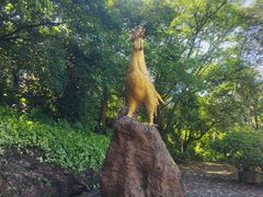 -海口火山口国家地质公园