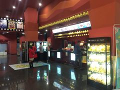 -大地影院(宁波培罗成店)