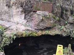 -地心探险极地