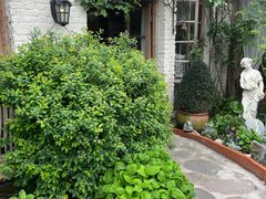 -Jo's Garden