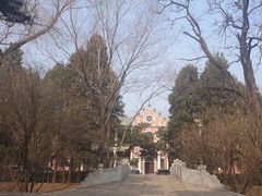 -北京动物园-畅观楼