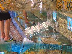 -范饭椰林川湘味海鲜·椰子鸡(三亚湾椰梦长廊店)