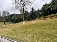 -龙头寺公园