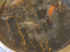 -九寸花汀(摩天活力城店)