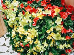 -PAGODA百果园(深圳天琴阁店)