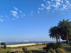 -大湾区中央湿地公园
