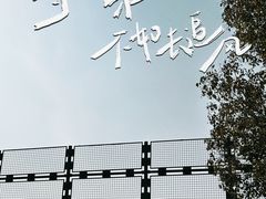 -南湖湿地公园