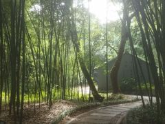 -兰亭风景区