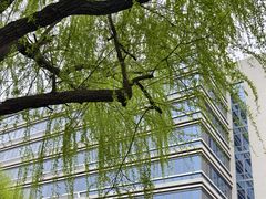 -外高桥保税区南(地铁站)