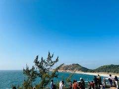 -广东惠东海龟国家级自然保护区