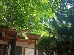 -白沙古井
