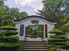 -南山植物园