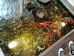 -衡山汇·高级粤菜(霄云路店)