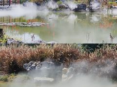 -广西壮族自治区药用植物园