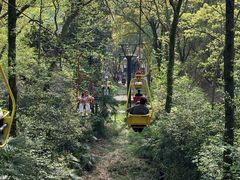 -WeLope紫金山探险公园