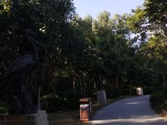 -大亚湾红树林城市湿地公园