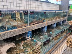 水产区-飞尝蚝·顺德菜·鱼生(顺德总店)