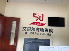 -艾贝尔宠物医院 ·内科全科(梁溪路店)