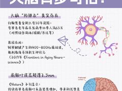 -TEMPO 音乐(五角场店)