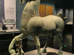 -广西壮族自治区博物馆