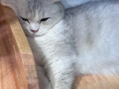 -梅龙镇广场