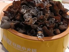 -龍歌自助小火锅(市北台东利群店)