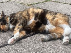 -二中酸辣汤(无锡梁溪区店)