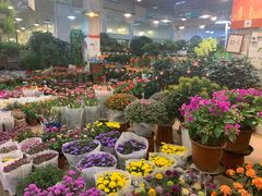 -双季花艺园艺市场(浦东店)