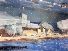 -海合安武汉极地海洋公园