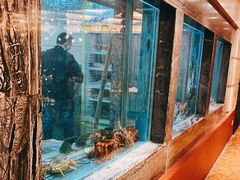 -海逸海鲜酒家(古北店)
