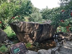 -天津盘山风景名胜区