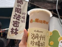 -猫的魔法密林(衣裳街店)