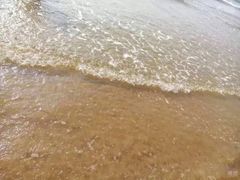 -日照海滨国家森林公园