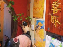 -KITON喜豚(清晖园店)